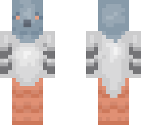 pigeon new