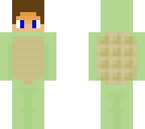 turtle boi
