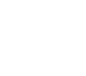 skeleton