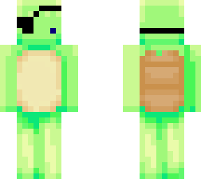 pirate turtle
