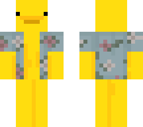 beach duck