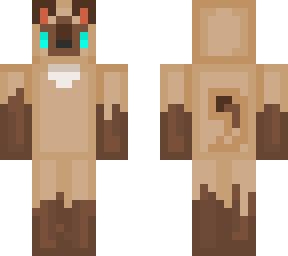 snowshoe cat