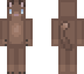 brown cat