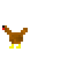 contest entry