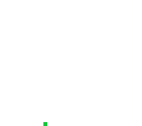 blank