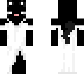 kitty