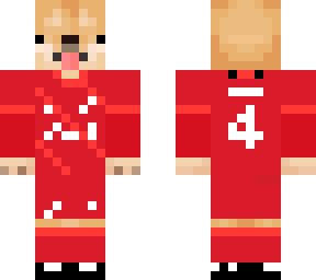 2021/22 liverpool van dijk doge (home)