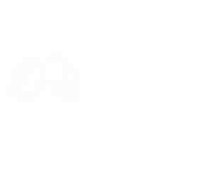 all follower discord