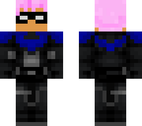 sd nightwing 2
