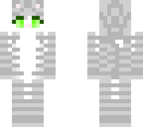silver tabby named daisy