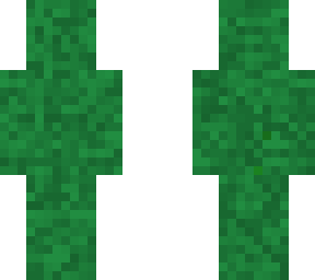 cami leaf 1
