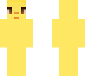 mr. duck