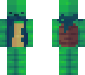 turtle with scarf