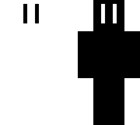 twin sided skin