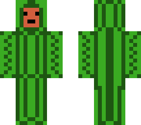 watermelon skin