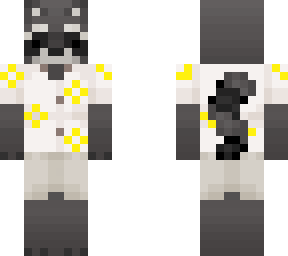 racoon