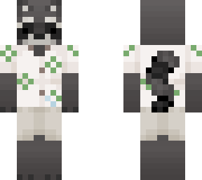 racoon