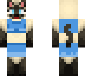 cheerleader siamese cat