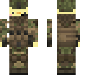 army duck