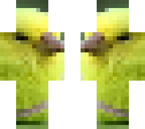 tennis bird