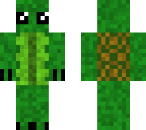 cute turtle