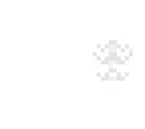 white feathered wings base
