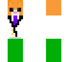 ginger cat (my roblox avatar)