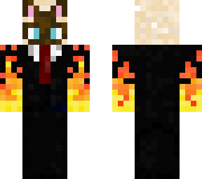 cat in fire