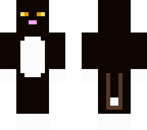 the black cat