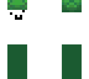 turtle hat