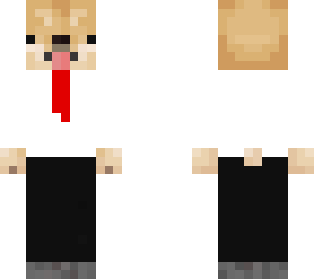 dog with a tie