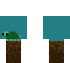turt