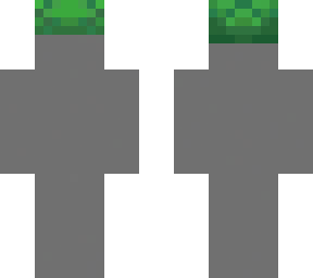 gray turtle