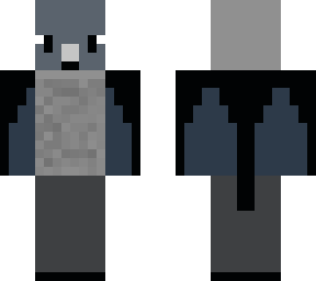 jackdaw