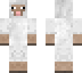 sheep