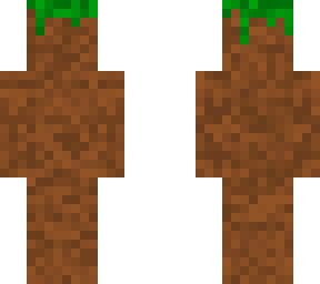 dirt disguise