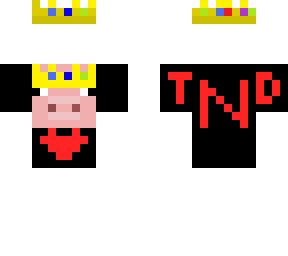 remembering technoblade!