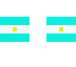 actual argentina flag
