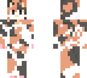 calico cat