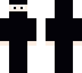 awesome sleek ninja