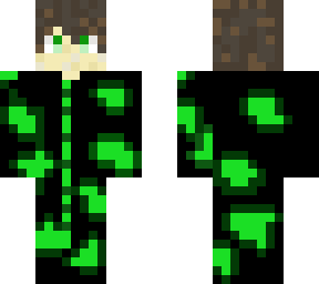 theninja