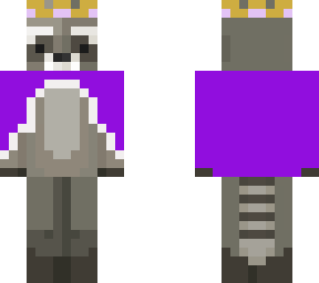 ponchoraccoon