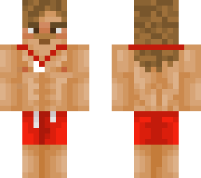 lifeguard 2.0