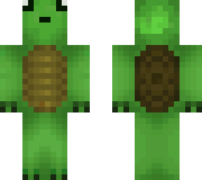 cute turtle