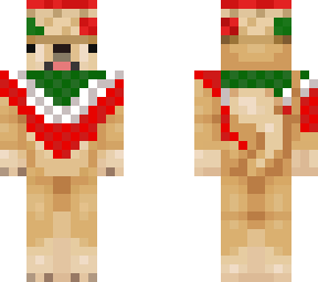 mexican doge