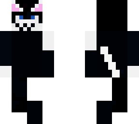 black and white cat