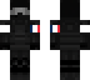 swat with french flag