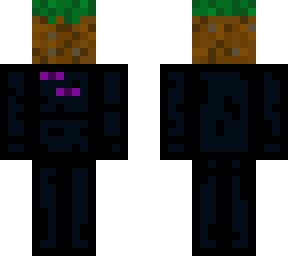 little enderman