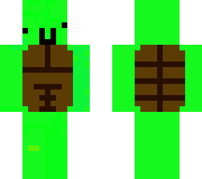 the turtle