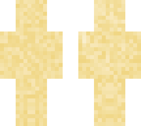 hide in the sand